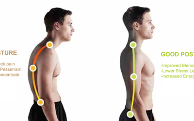 Injury Prevention Tip: Head, Neck and Back Posture in the Office